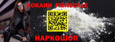 мдпв Камышлов