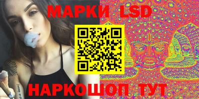 мдпв Камышлов
