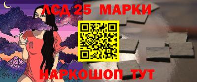 мдпв Камышлов