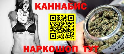 мдпв Камышлов