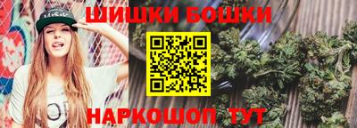 мдпв Камышлов
