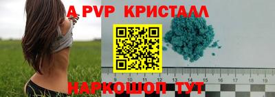 мдпв Камышлов