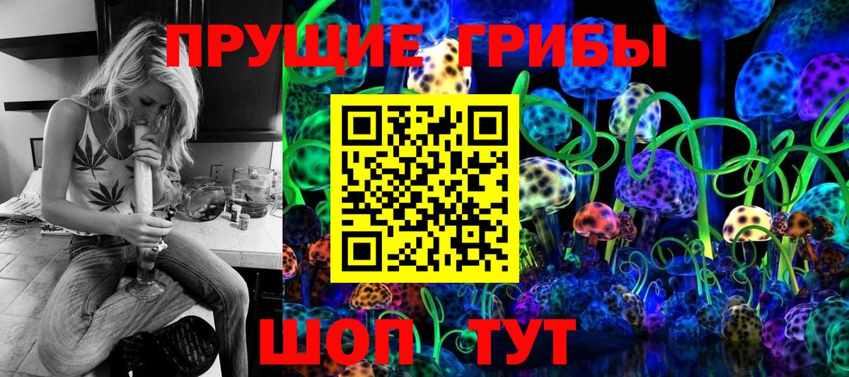Галлюциногенные грибы Cubensis Лесозаводск