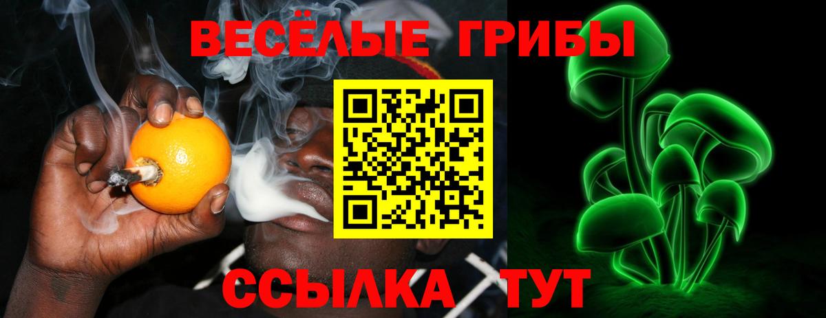 Лесозаводск  Псилоцибиновые грибы GOLDEN TEACHER  Вход с VPN 